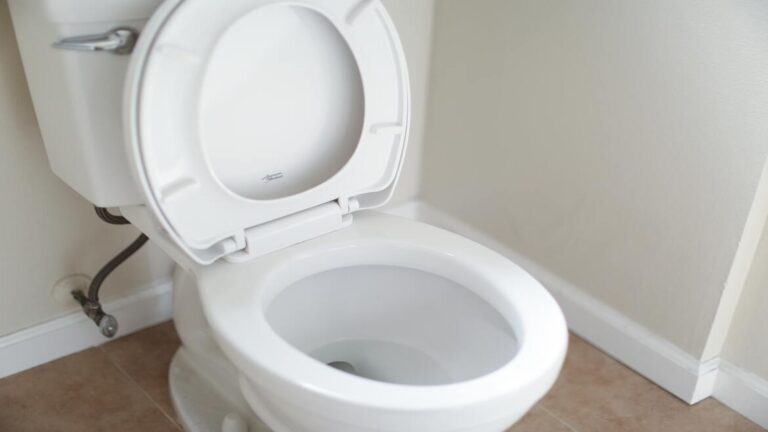 Brown Water In The Toilet: How To Fix It?