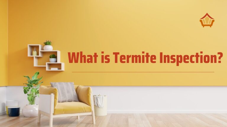 what is termite inspection